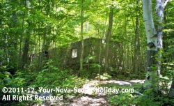 An old abandoned gold mine, Cape Breton, Nova Scotia