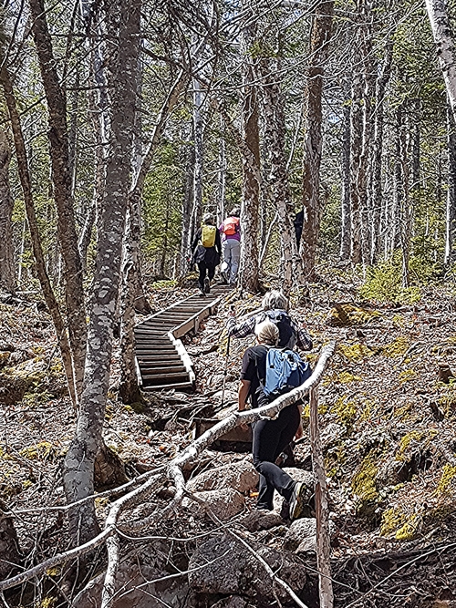 The Franey Mountain hiking trail is well maintained with several sets of stairs to help with the steady climb. Cape Breton Highlands National park.