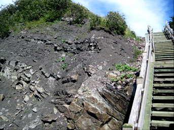 Descending the steep stairs to he Joggins Fossil Cliffs and beach area can be intimidating.  The cliffs are fabulous!