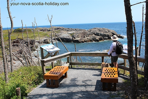 There are a couple of informational panels on the Louisbourg Lighthouse trail along with benches.  The panels do a great job of describing the unique history of this coastline.