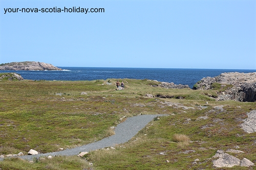 A great view of the trail as it heads towards the coastline.  The Louisbourg Lighthouse trail allows you to get very close to the coastline.