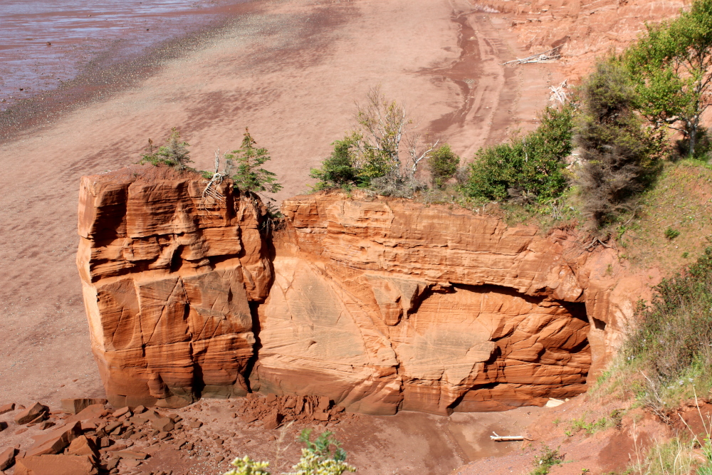 A great view of the sculpting effects of the incoming & outgoing tides on the sandstone cliffs. Gorgeous!