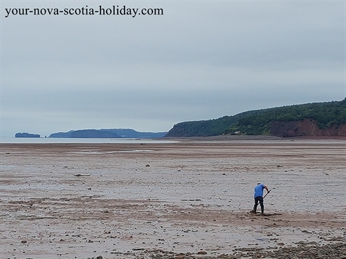 A great pasttime for folks along the Bay of Fundy in Nova Scotia....digging for clams at low tide.