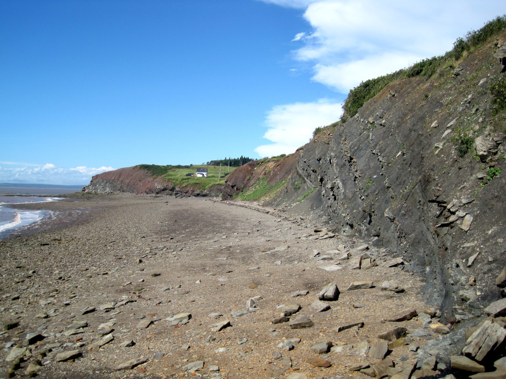 This is the Joggins Fossil Cliffs along the Bay of Fundy in Nova Scotia. The Fundy tides withdraw twice daily leaving more boulders & rocks to fall and more fossils to be found.