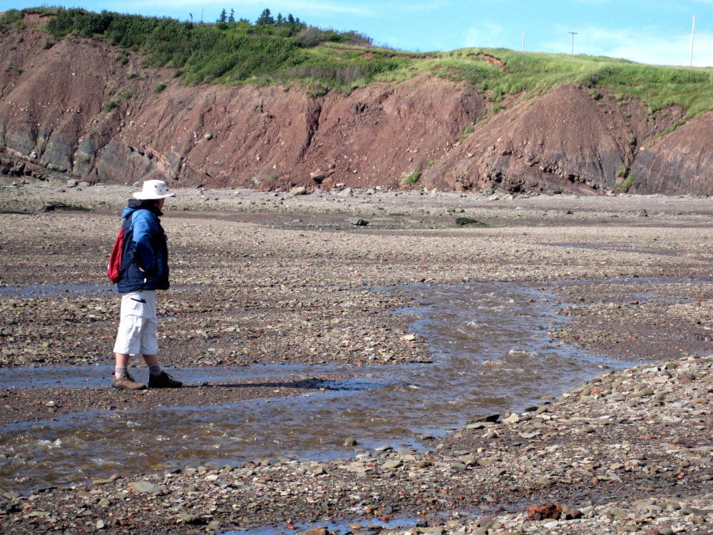 This is me roaming the rocky beach at the Joggins Fossil Cliffs in Nova Scotia.  A truly remarkable place.